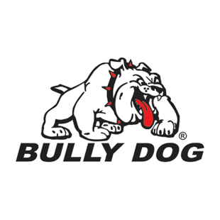 Bully Dog